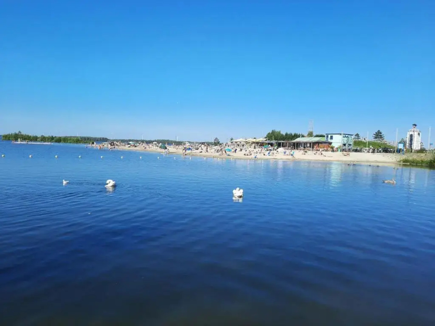 Traum-Chalet für Urlauber in Putten an der Veluwe Krachtighuizerkern 22 & free Bikes