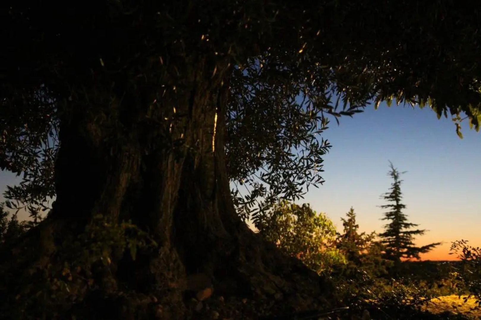 La Campagne de Petre