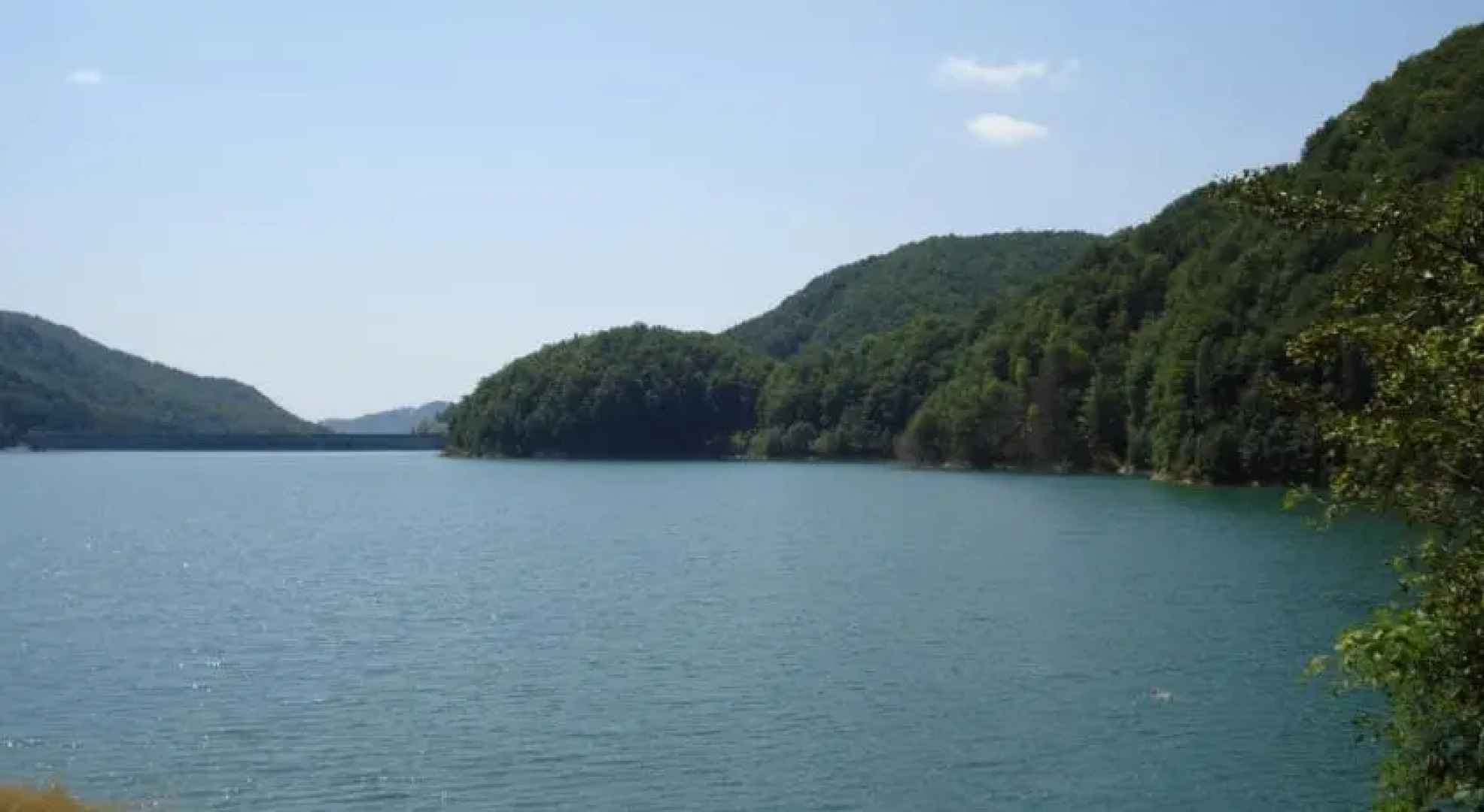 Pension Valea Negrasului