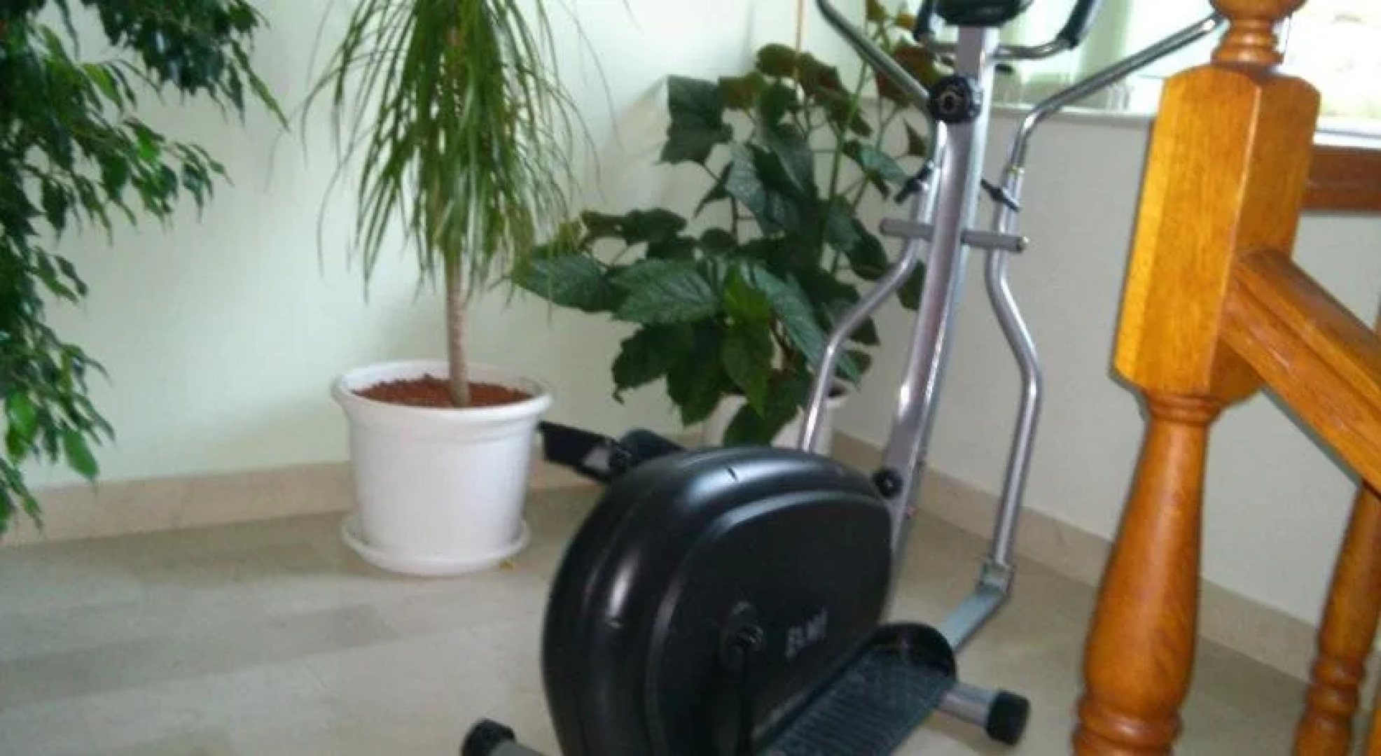 Guesthouse Zeko Rozat