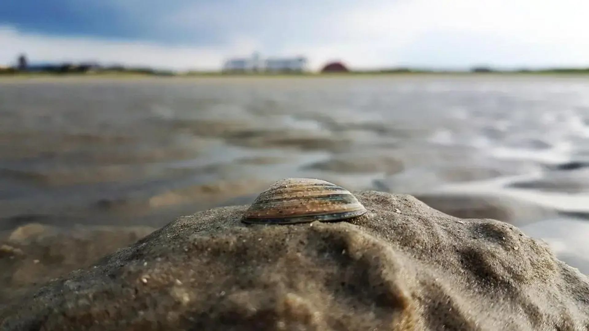 Haus Inselrose Juist