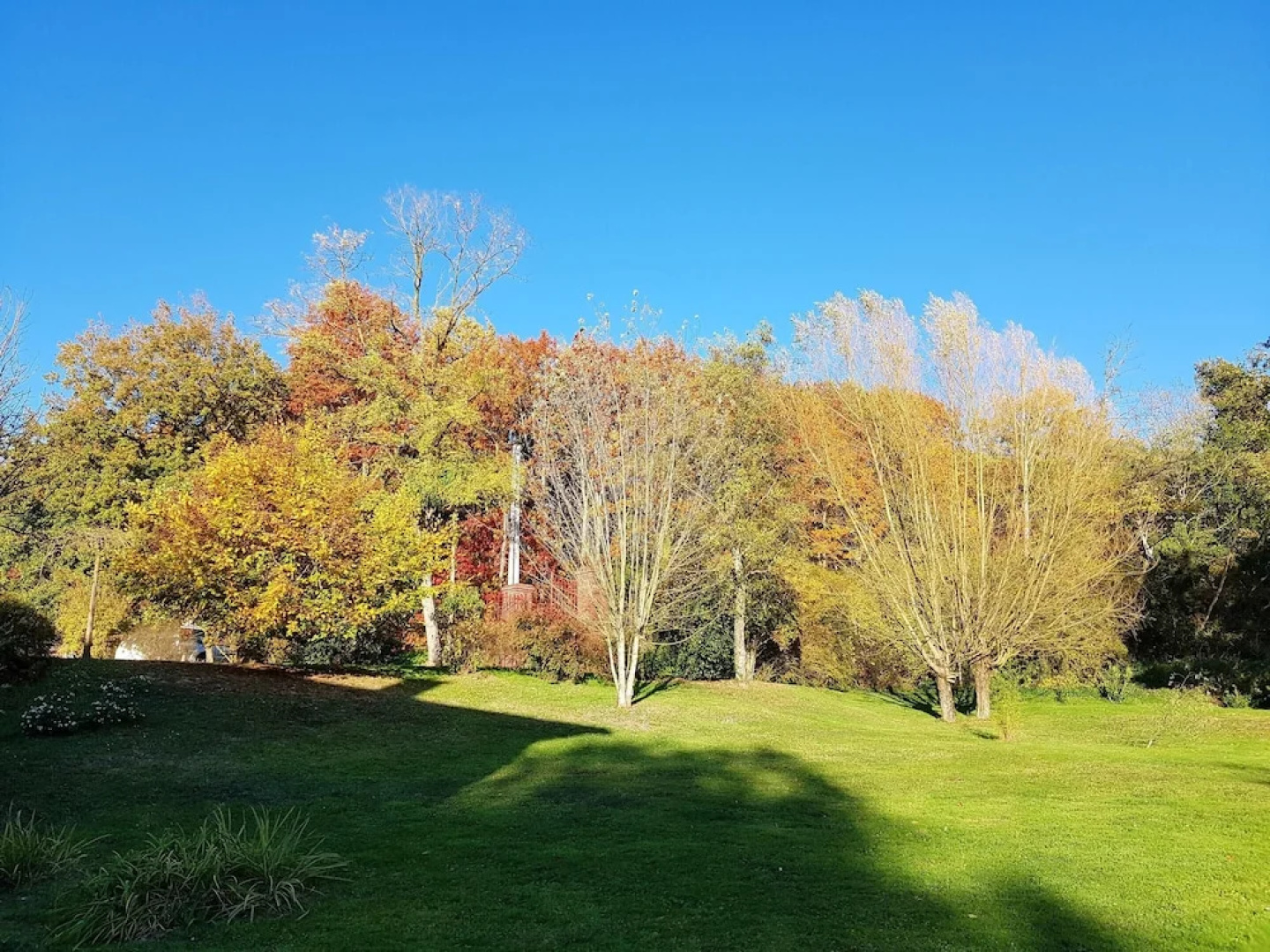 Property With 5 Bedrooms in Saint-paul-de-varax, With Private Pool, Fu