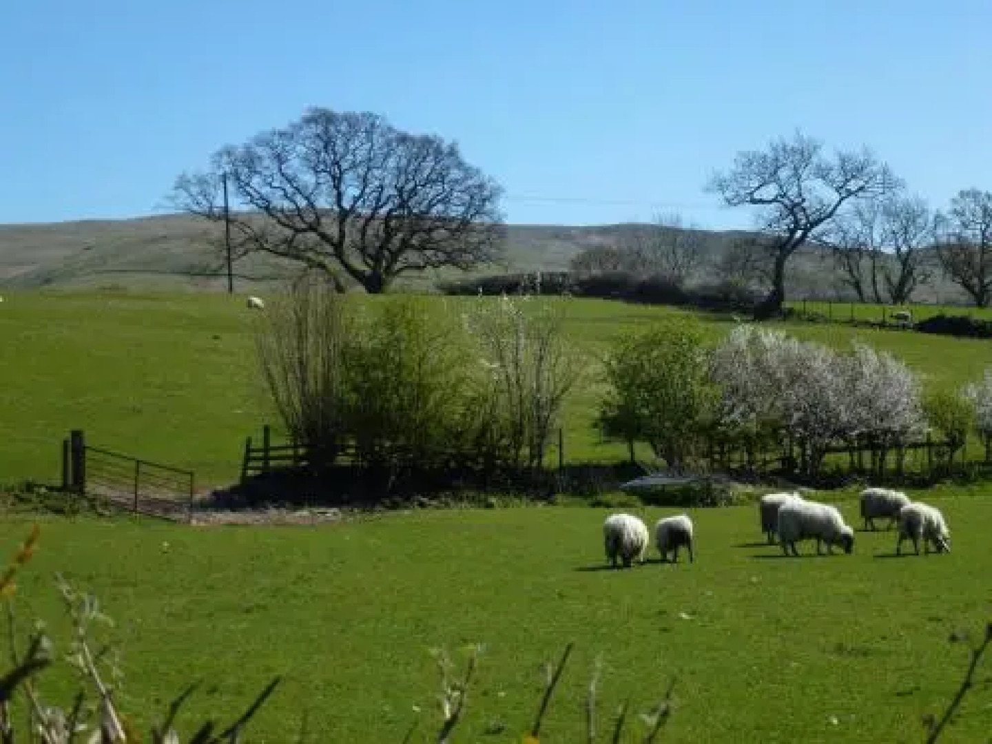 The Head At Middleton