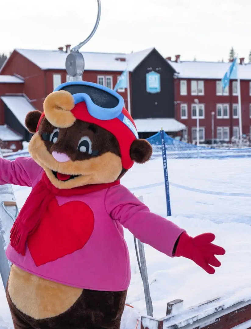 Högbo Pensionat Skommarsgården