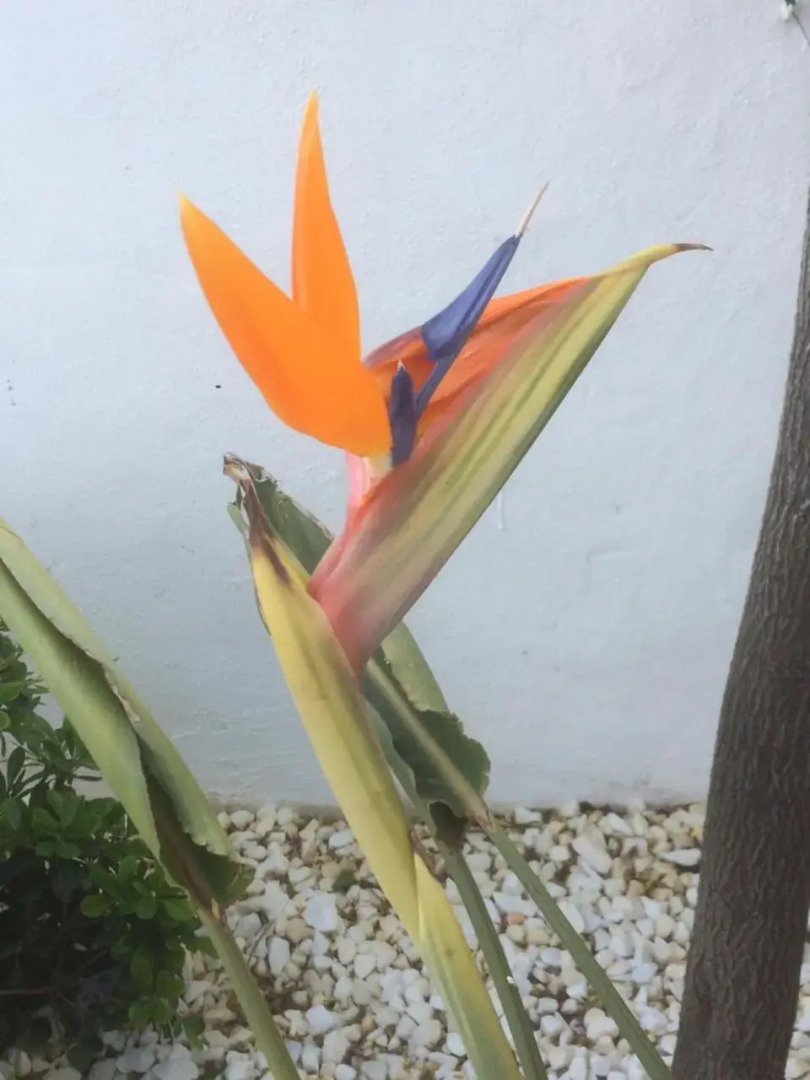 The Loft Cantoria - room with a view