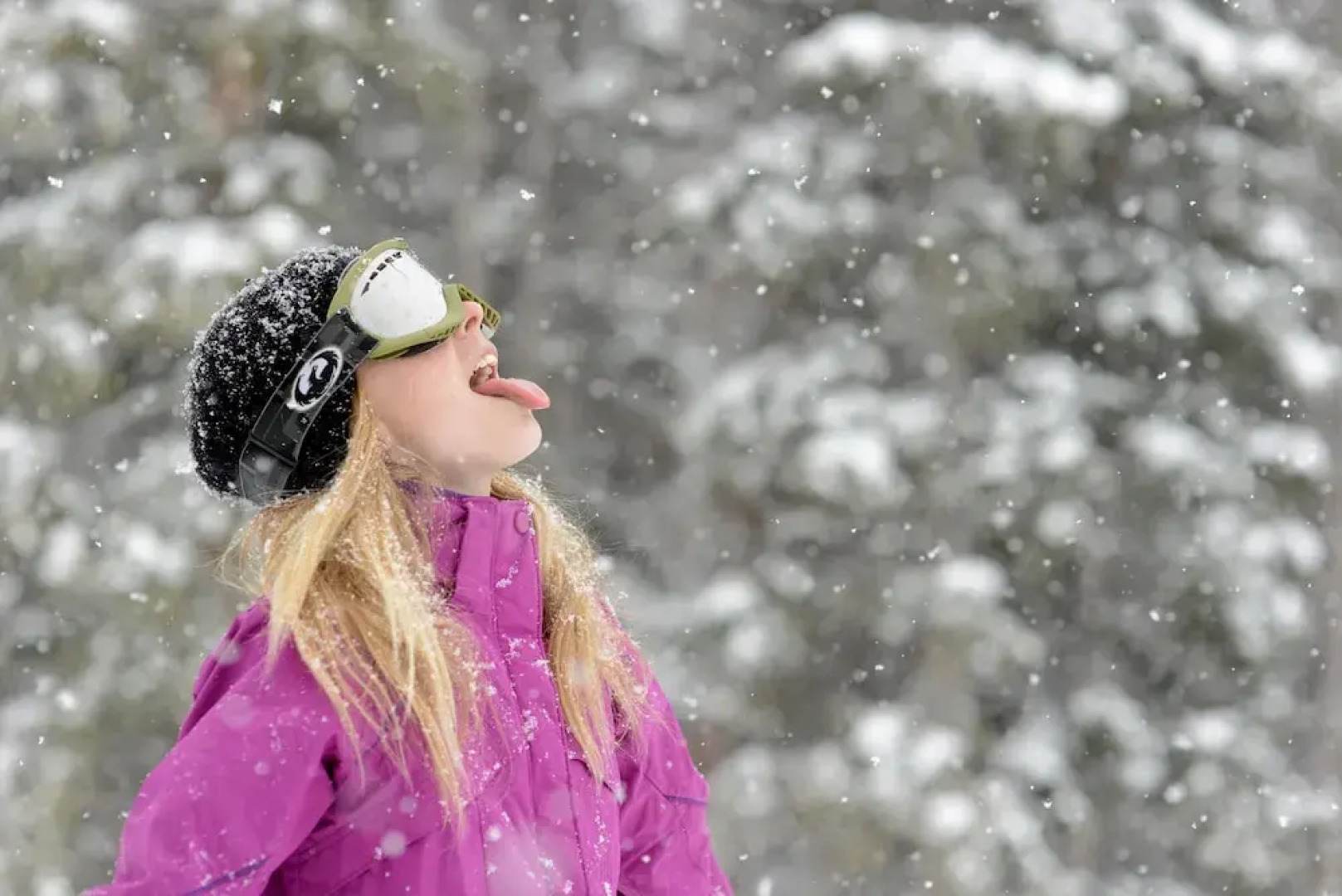 Heister House 3 Bedroom Holiday Home By Pinon Vacation Rentals