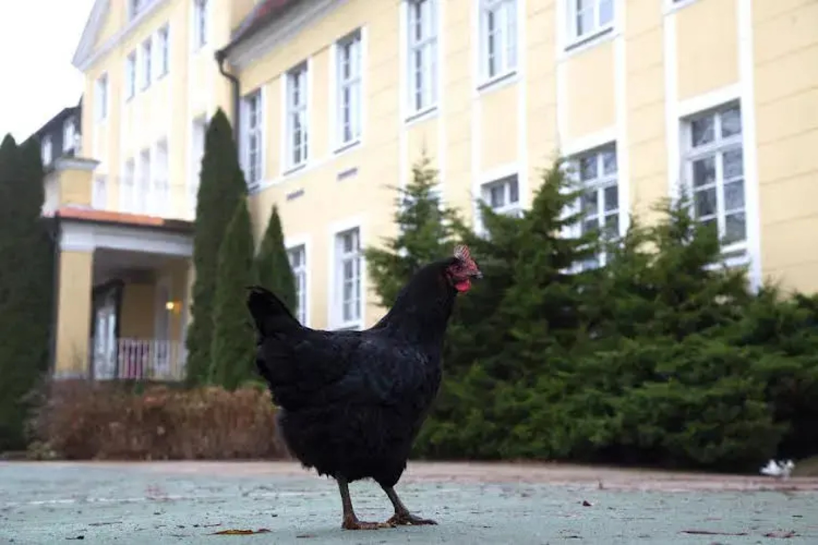 Parkhotel Schloss Wulkow