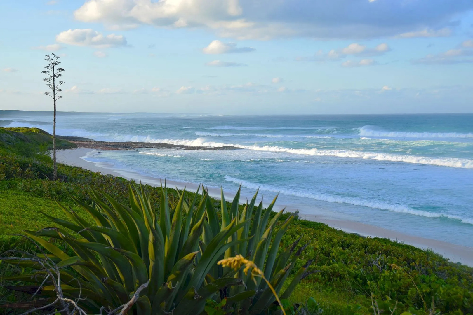 The Ocean Dream Beach Resort