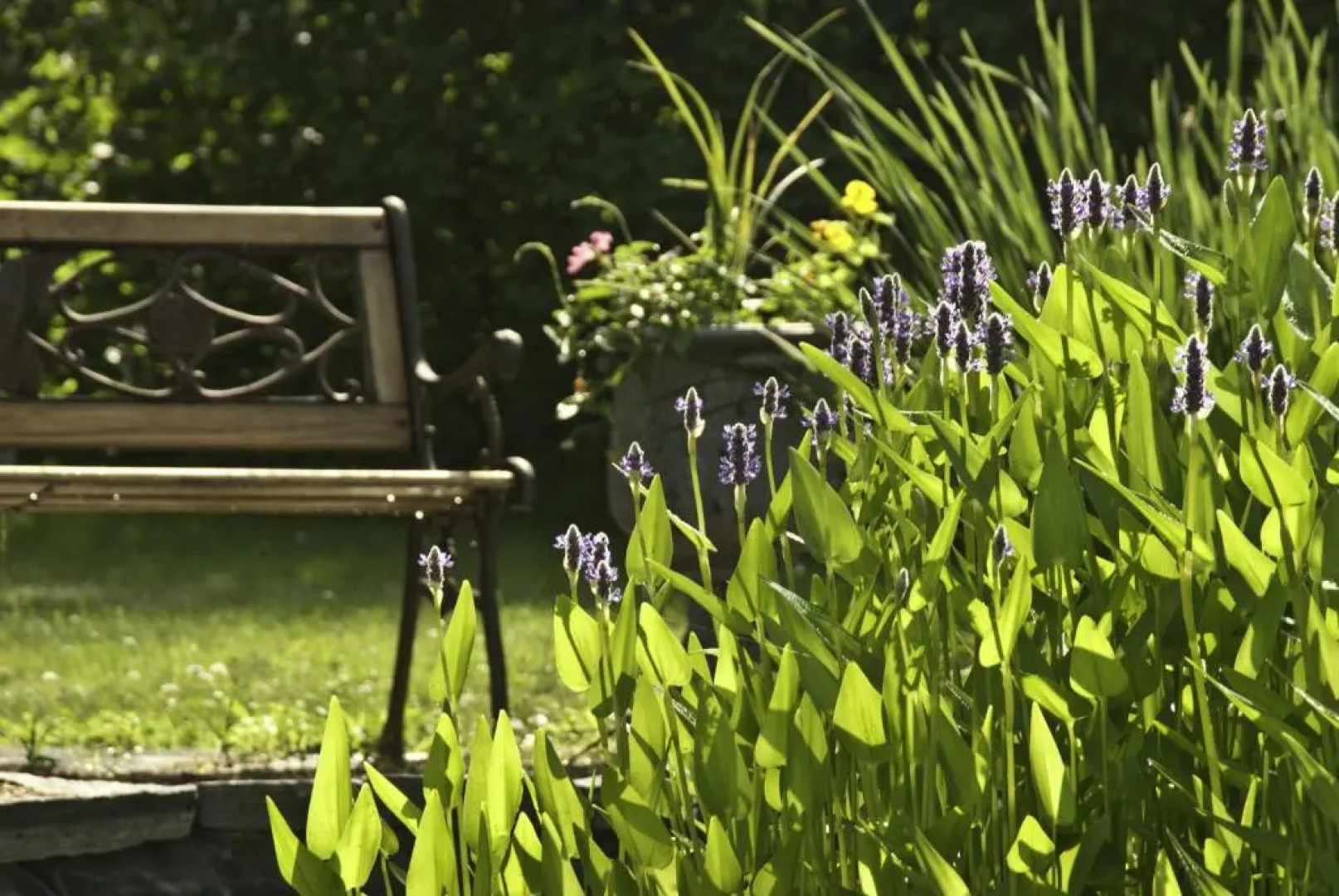 Golden Stage Inn B&B