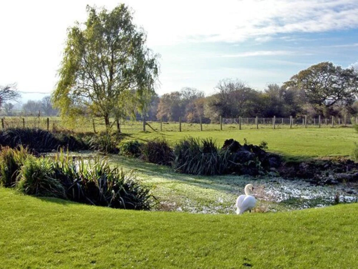 Glan Clwyd Isa - The Coach House