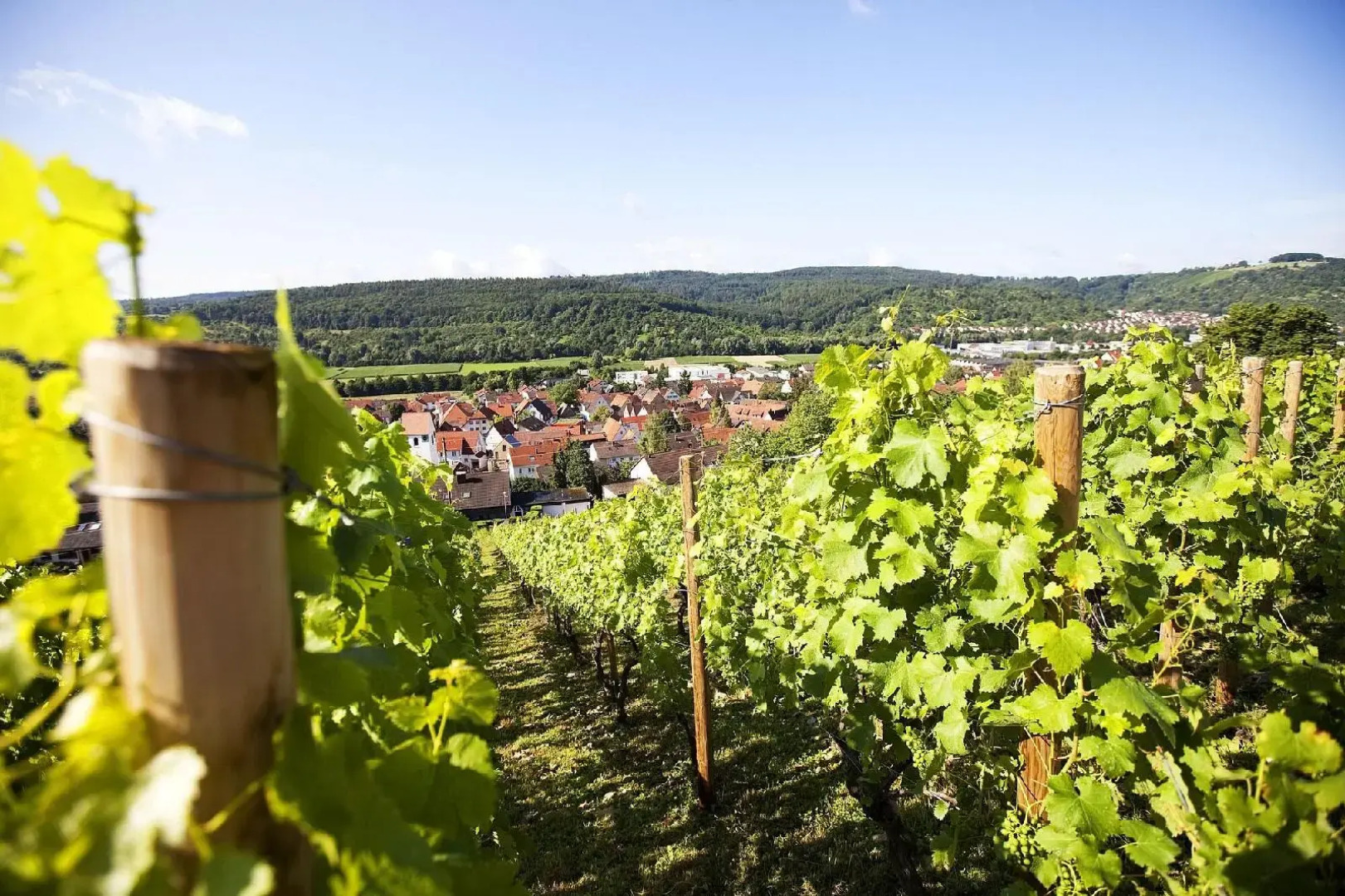 Hotel Restaurant Lamm Hebsack