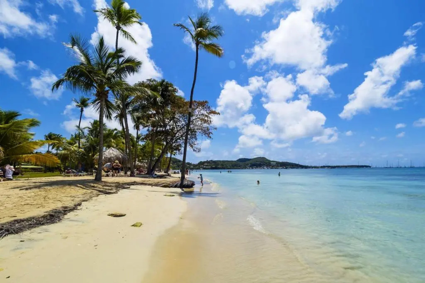 Studio avec vue sur la mer piscine partagee et terrasse amenagee a Le Marin a 3 km de la plage