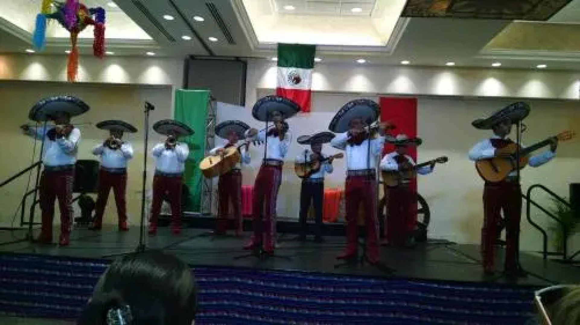 Suites at VDP Flamingos Resort and Spa