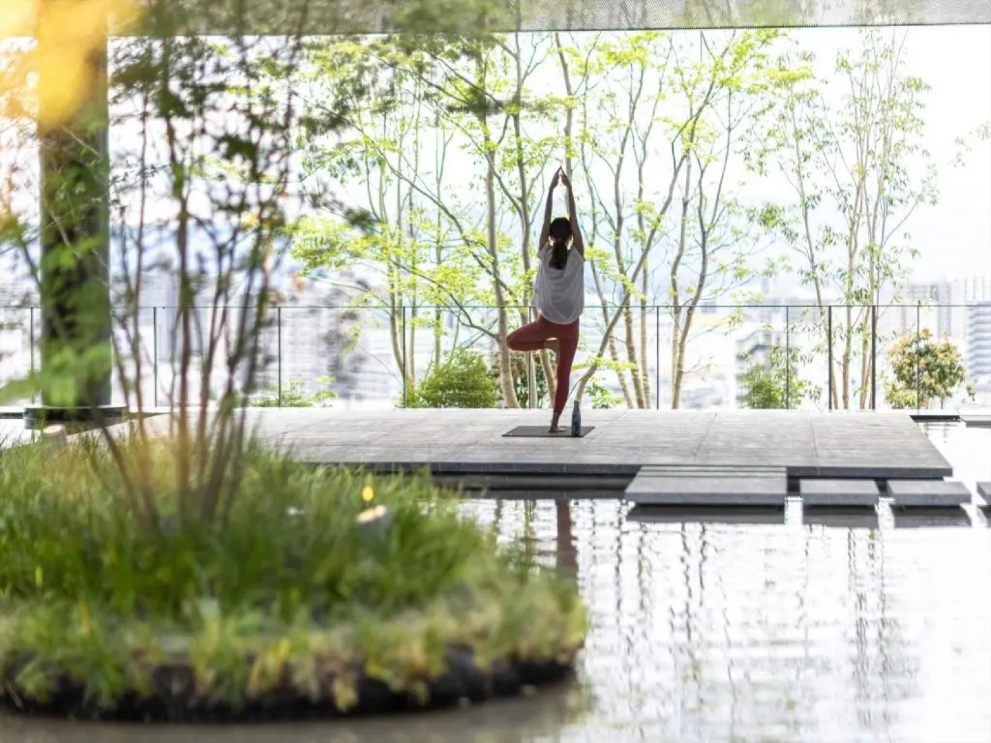 The Blossom Kumamoto