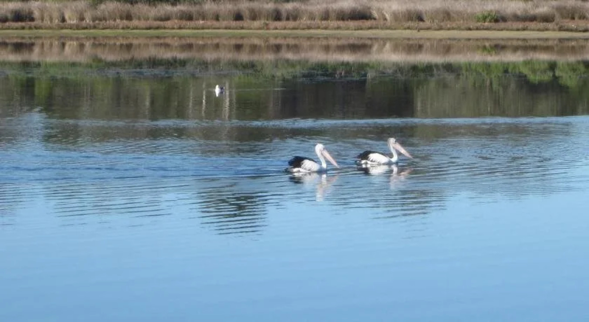 Lakes Waterfront Motel and Cottages
