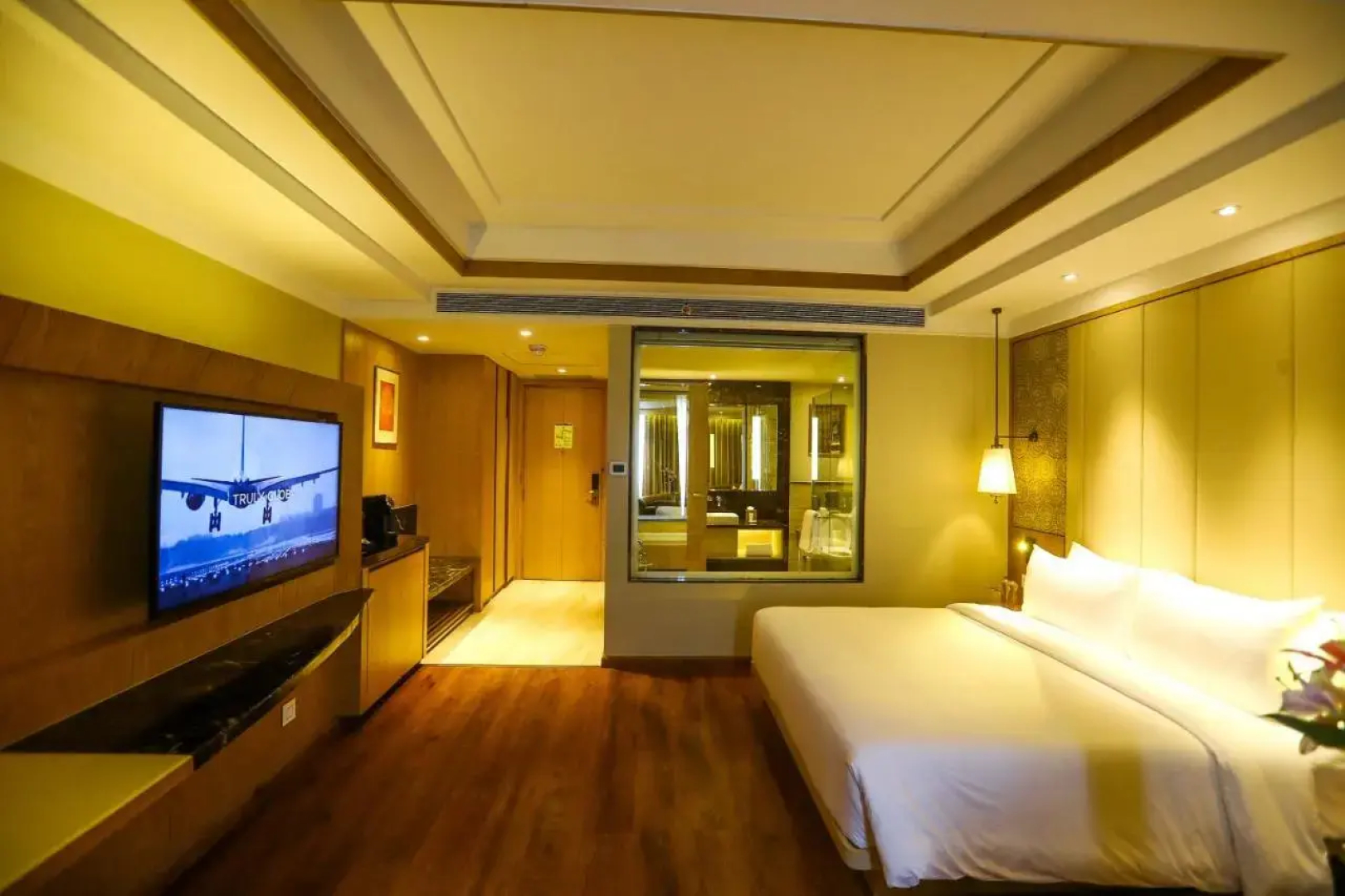 Radisson Bhopal