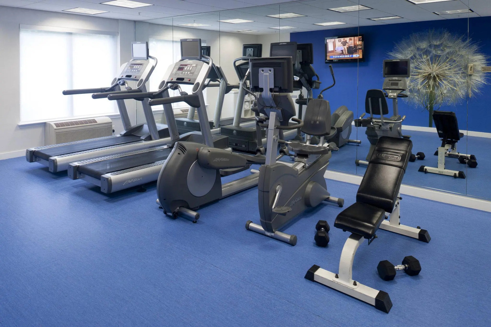 SpringHill Suites by Marriott Dallas Addison/Quorum Drive