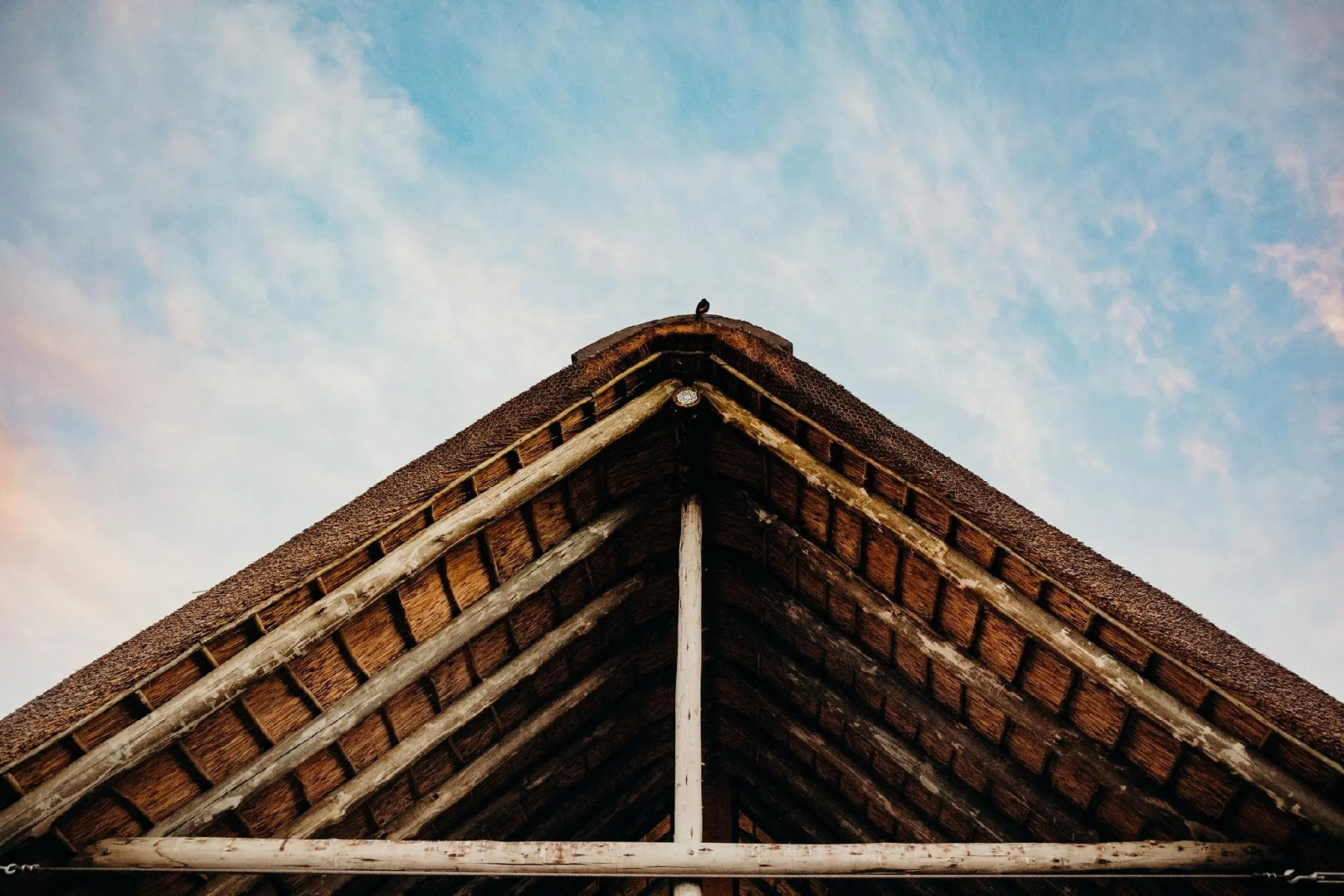 Bukela Game Lodge Amakhala Game Reserve