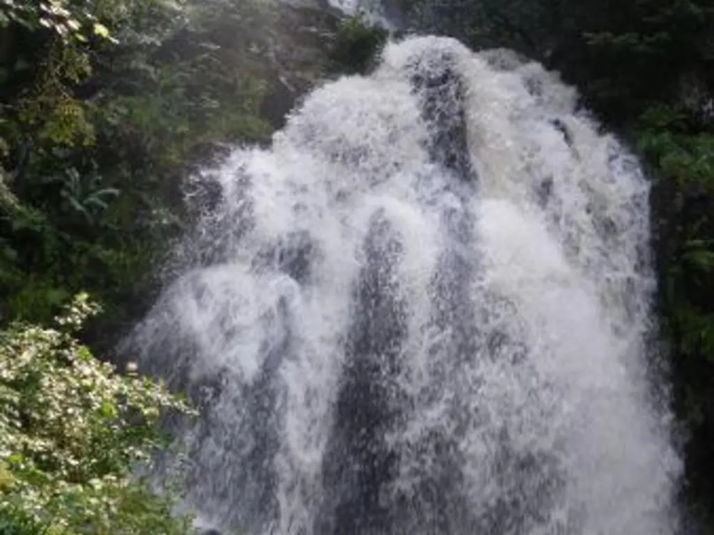 Gîte Le Tholy, 3 pièces, 5 personnes - FR-1-589-179
