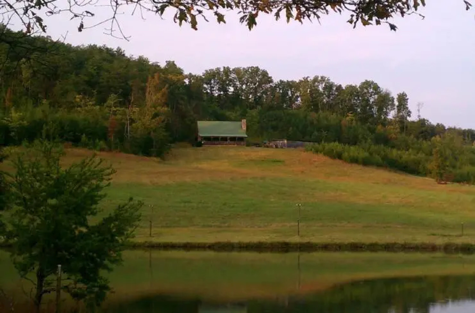 Misty Meadow Farm & Cabin