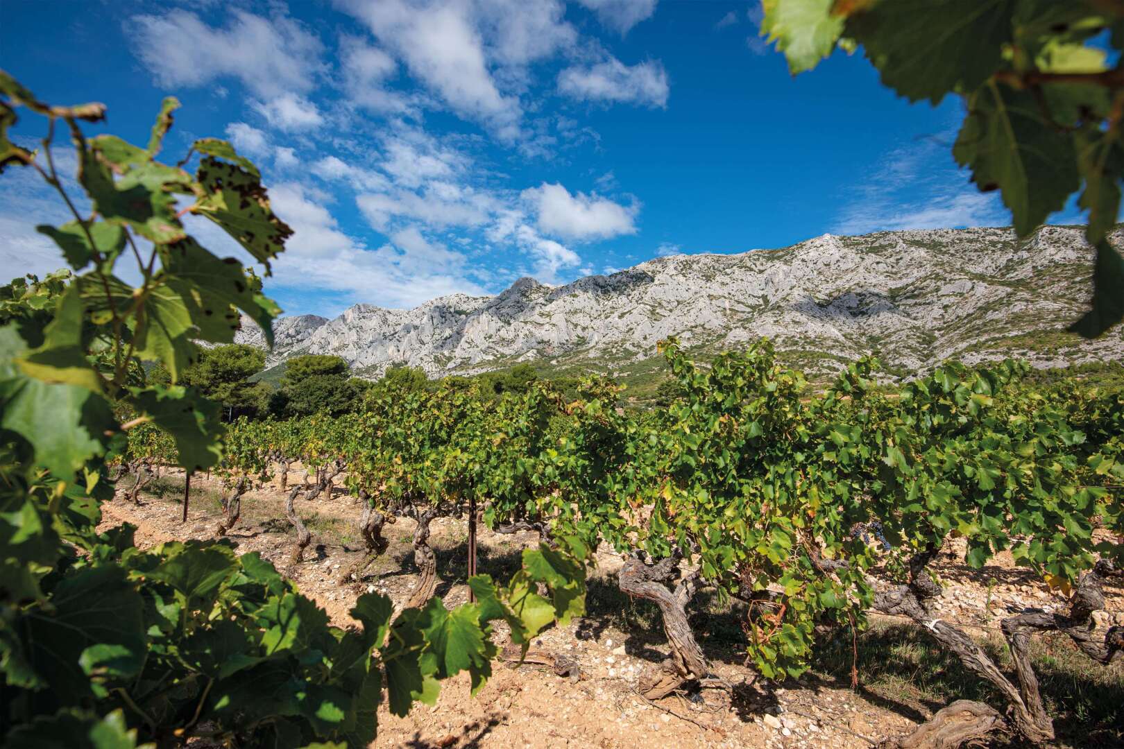 Comfort Aparthotel Aix Le Tholonet