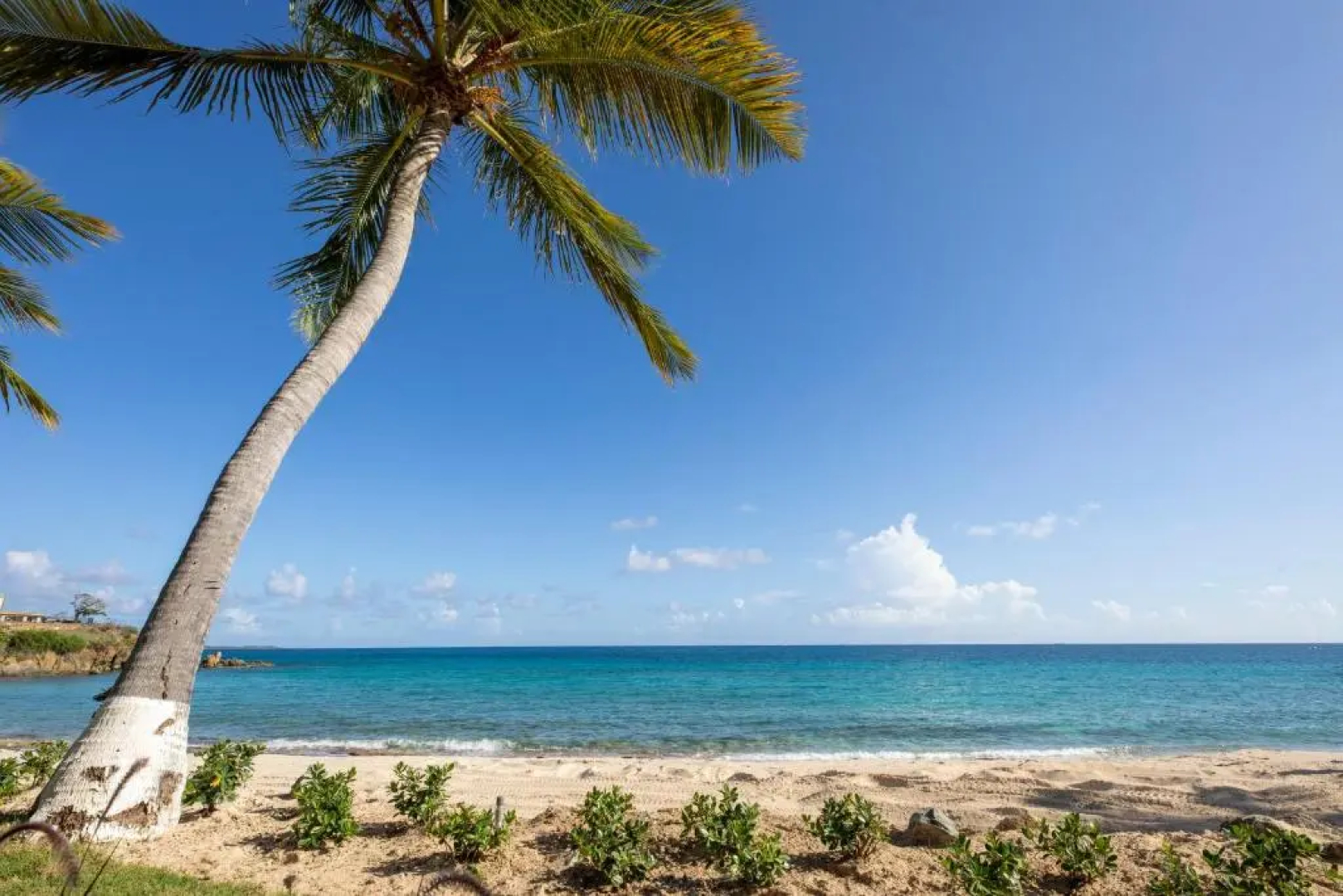 Limetree Beach Resort by Club Wyndham