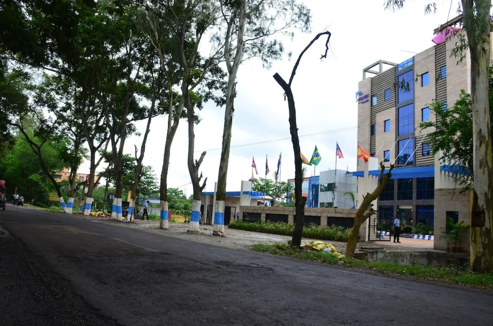 Dolphin Chocolate Inn