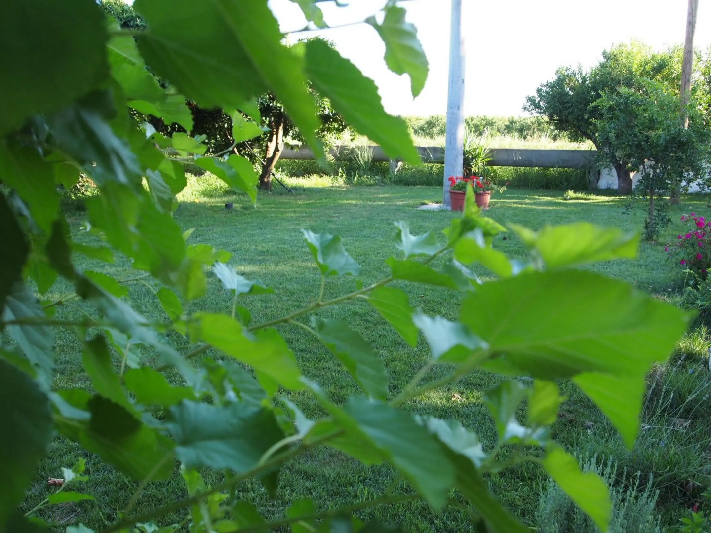 Terre del Faro - Casa Vacanze