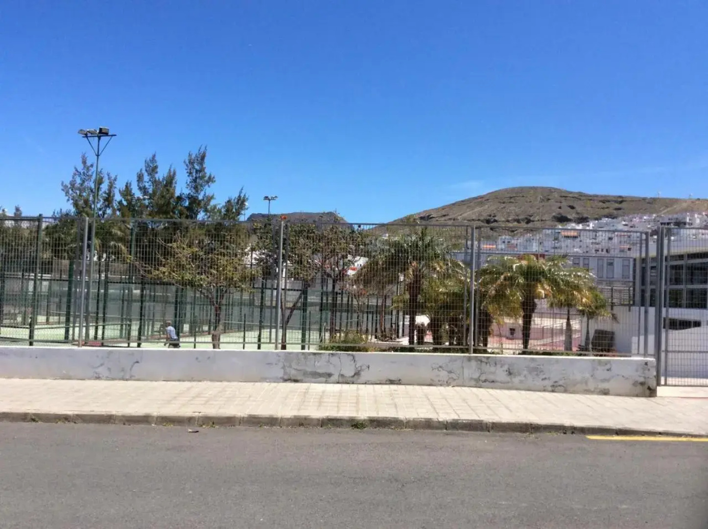 La Palmita de Canarias