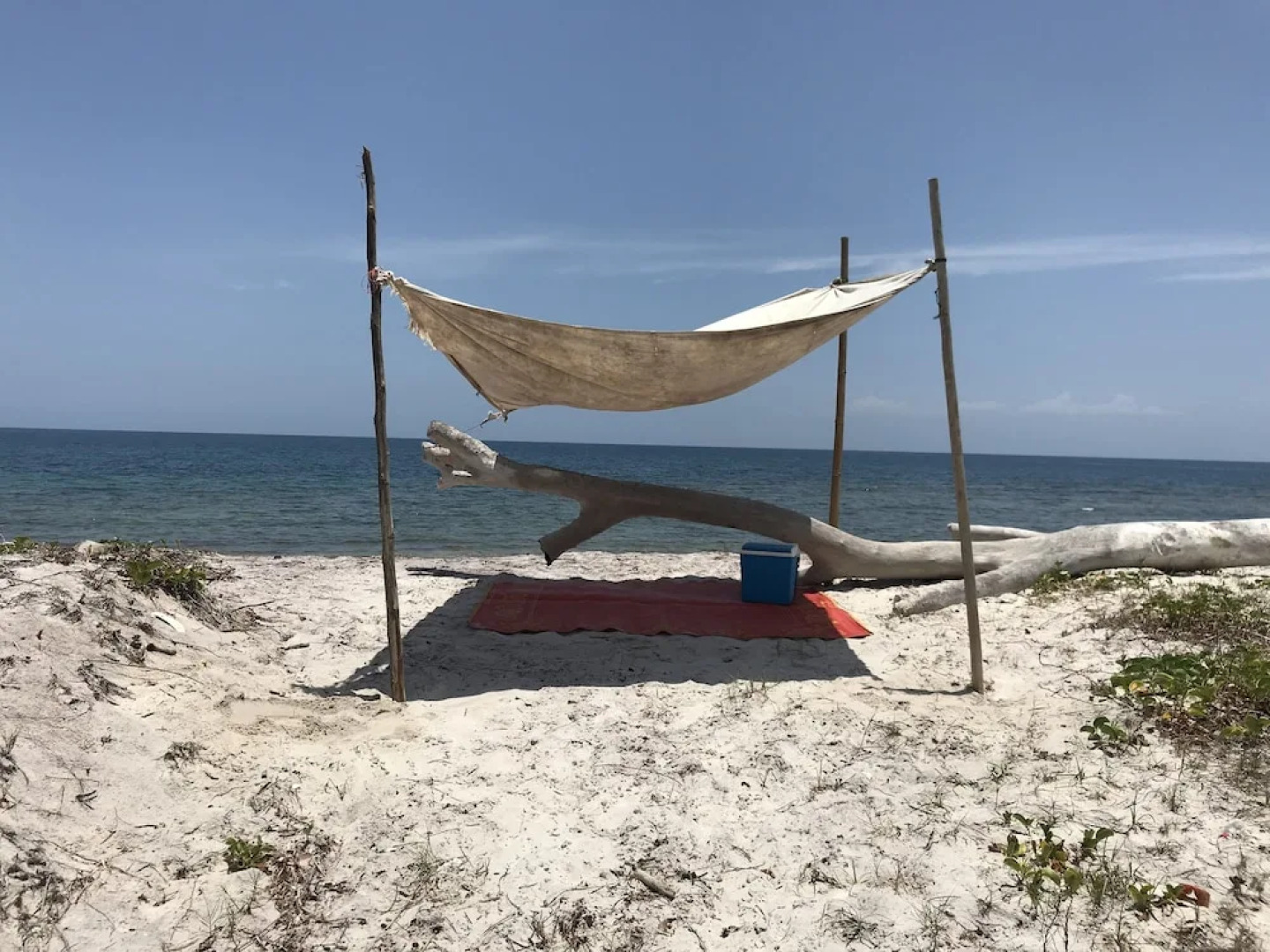 Bomani Beach Bungalows