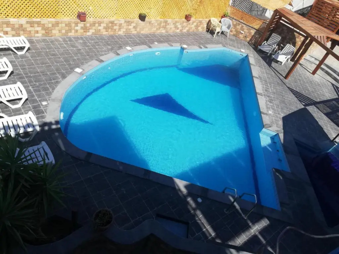 Bedouin Garden Village, Hotel Dive