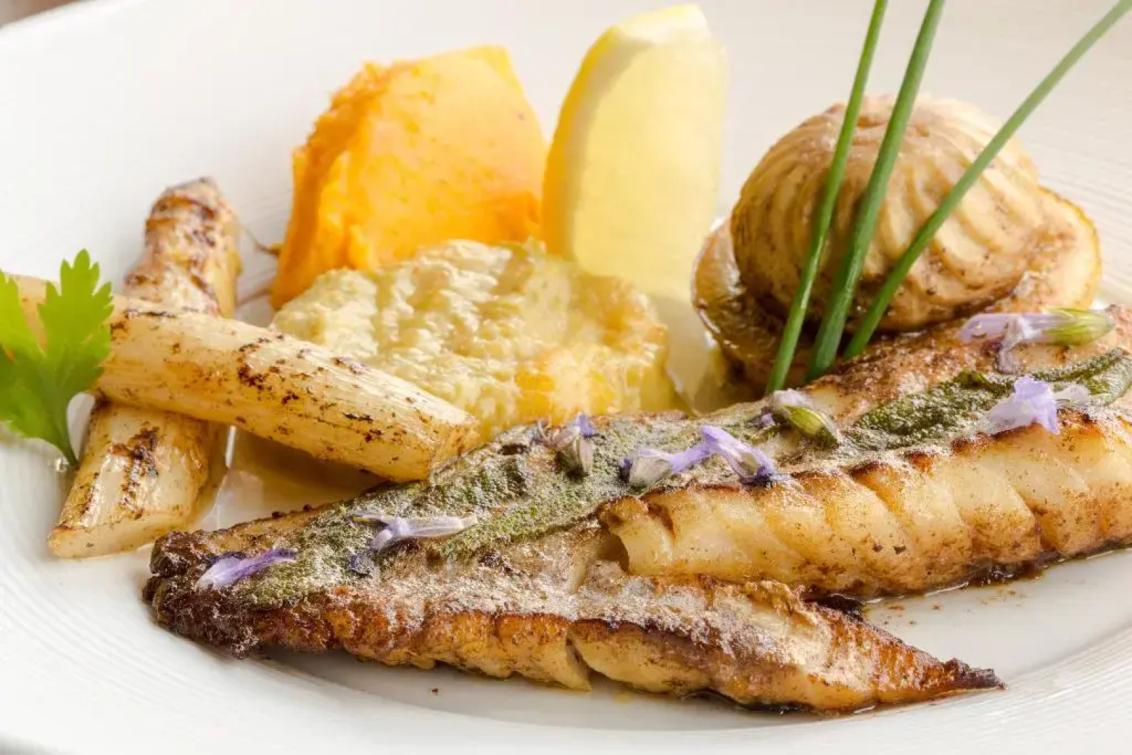 Greet Hotel Nancy Sud