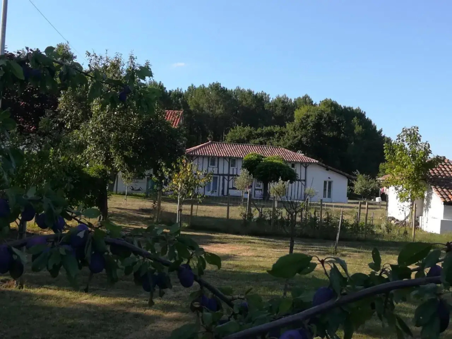 Gite Taller, 4 pièces, 9 personnes - FR-1-360-582