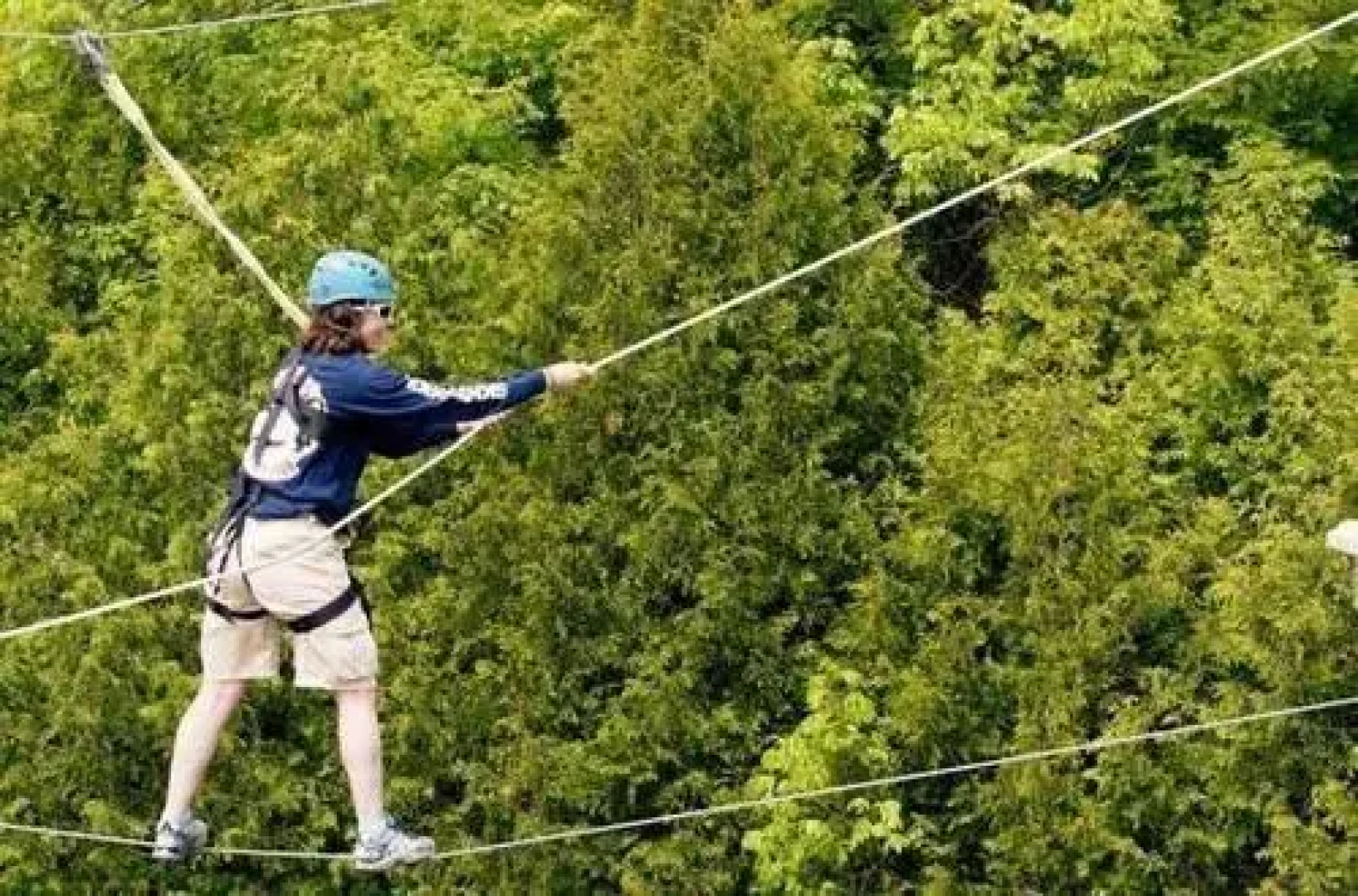 Little Cove Adventures