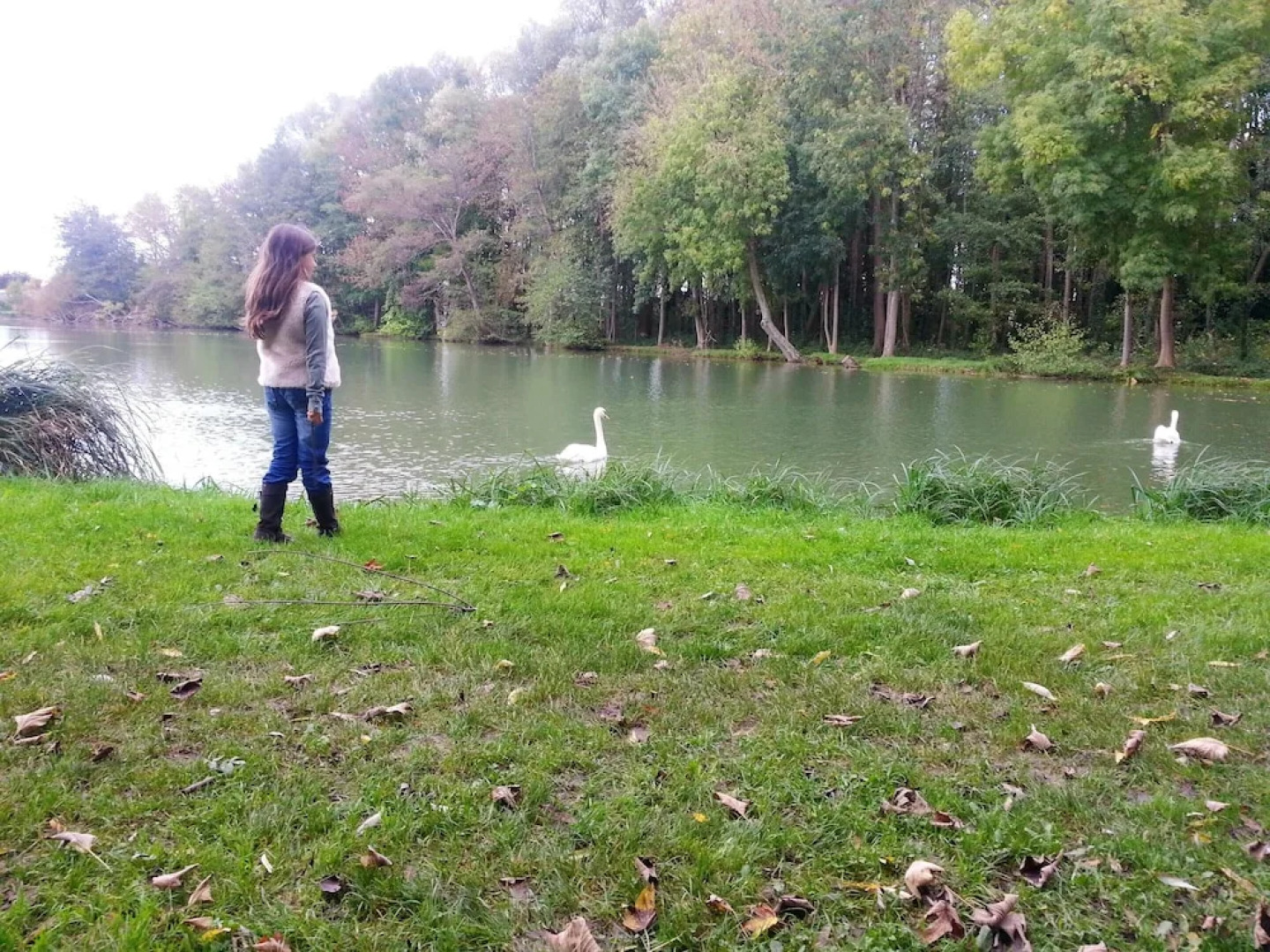 House With one Bedroom in Ervauville, With Private Pool, Enclosed Gard