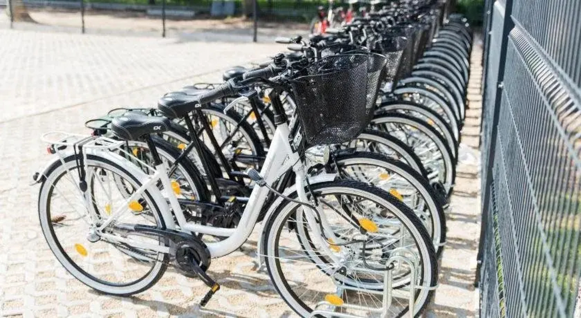 Holiday Park & Resort - Pobierowo