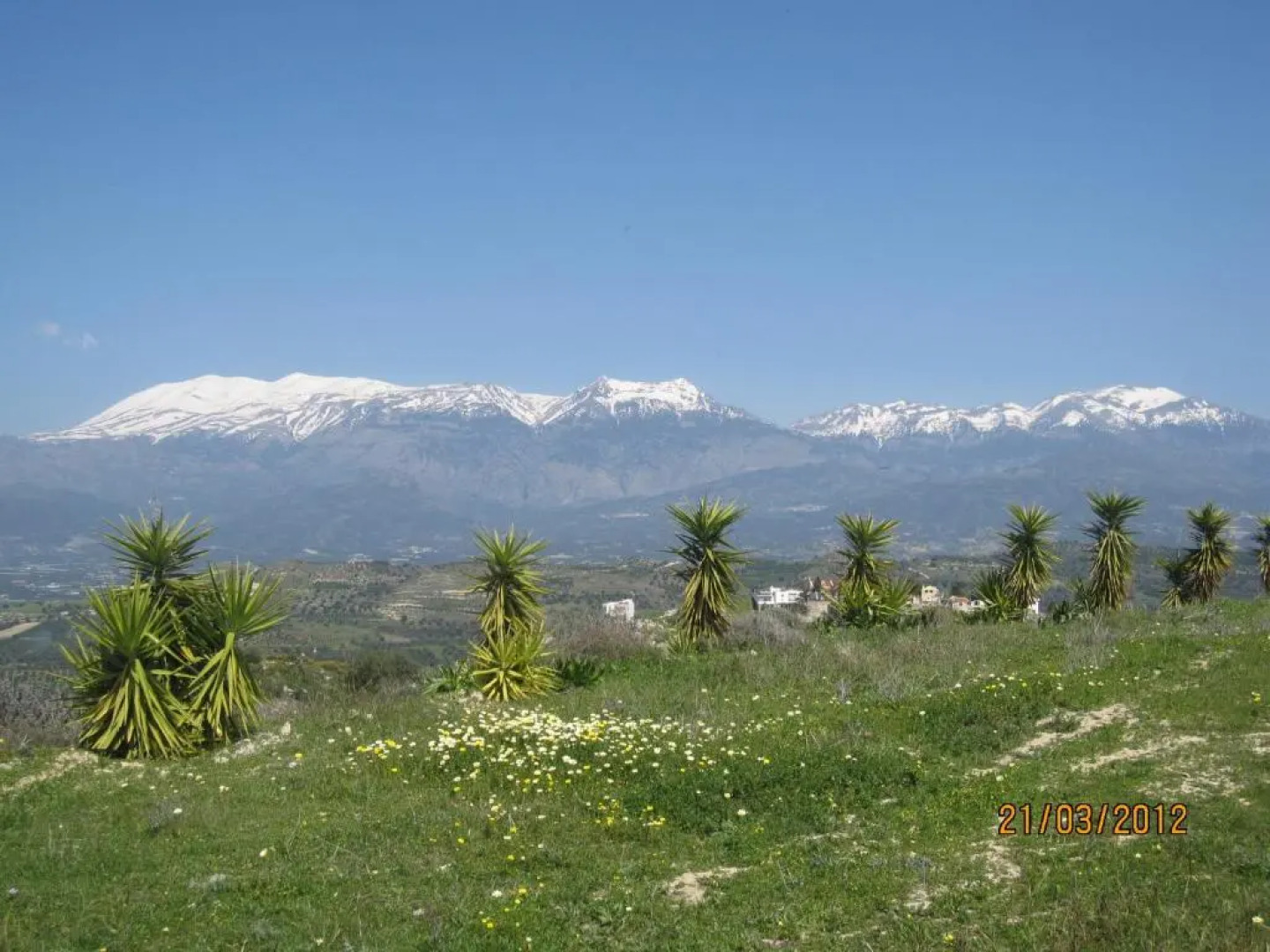 Vrisi Apartments & Villa