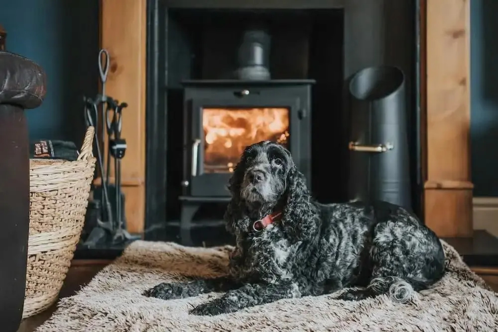 Five Sisters' Guest Suite