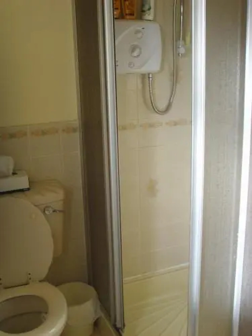 Springfield House B&B