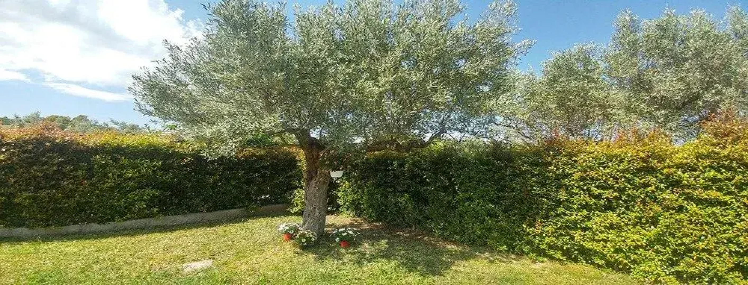 Villa Aurelio