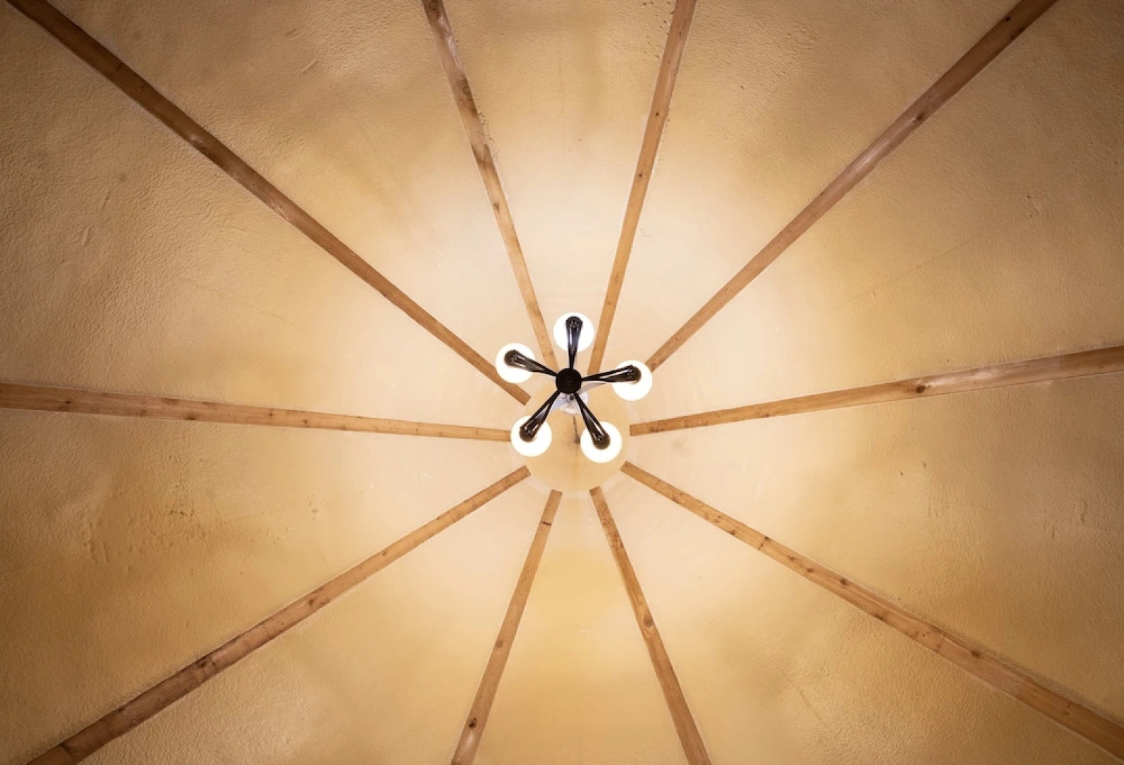 Yellow Flower Tipis 5 on Guadalupe River - Campsite