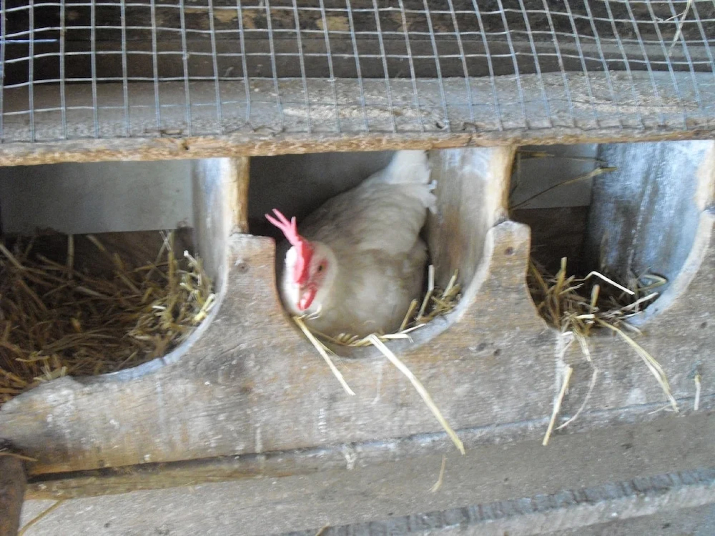 Chez Jacques et Chantale, B&B