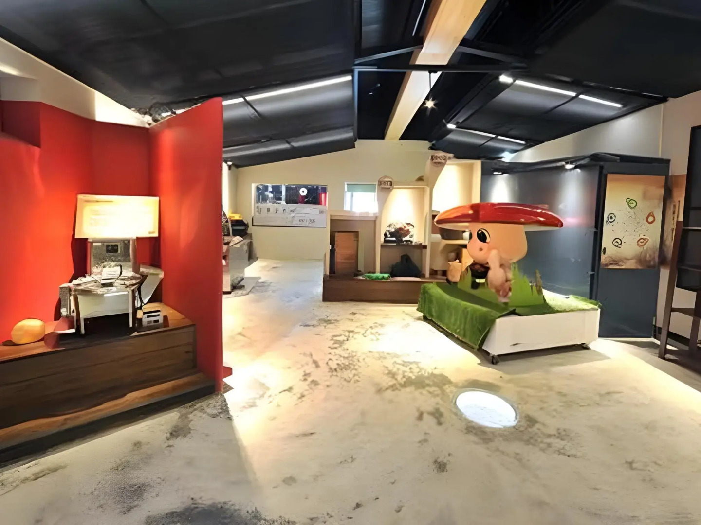 Taiwan Reishi Expert Bed and Breakfast