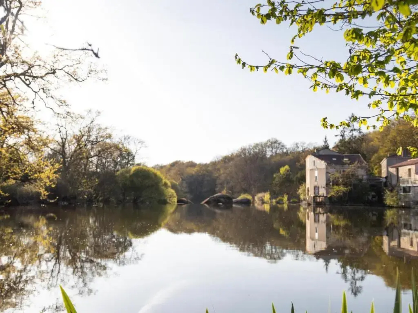 Gîte Mortagne-sur-Sèvre, 1 pièce, 2 personnes - FR-1-426-482