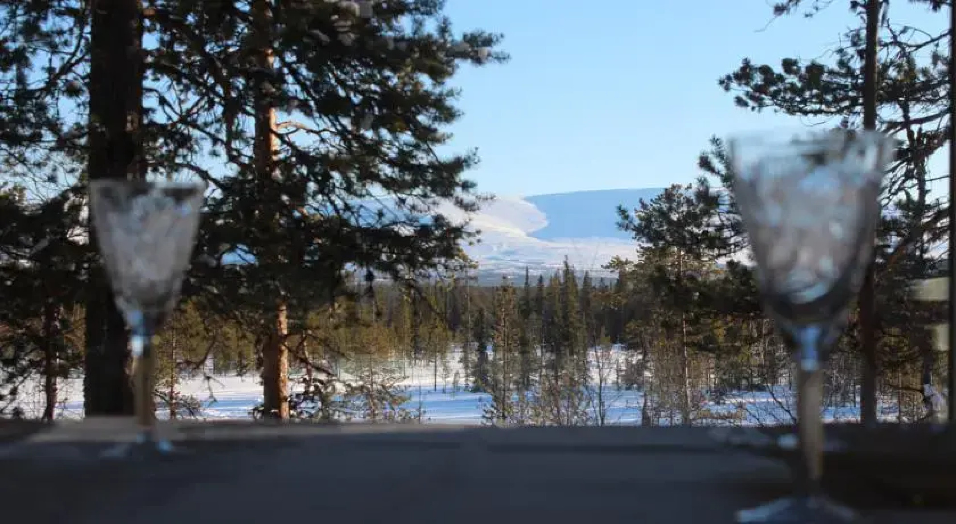 Сияние Севера