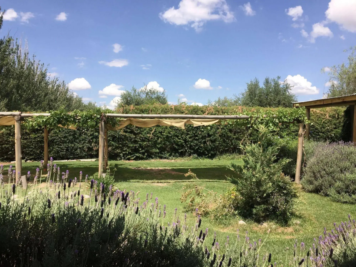 Tikaykilla Lodge & Wines