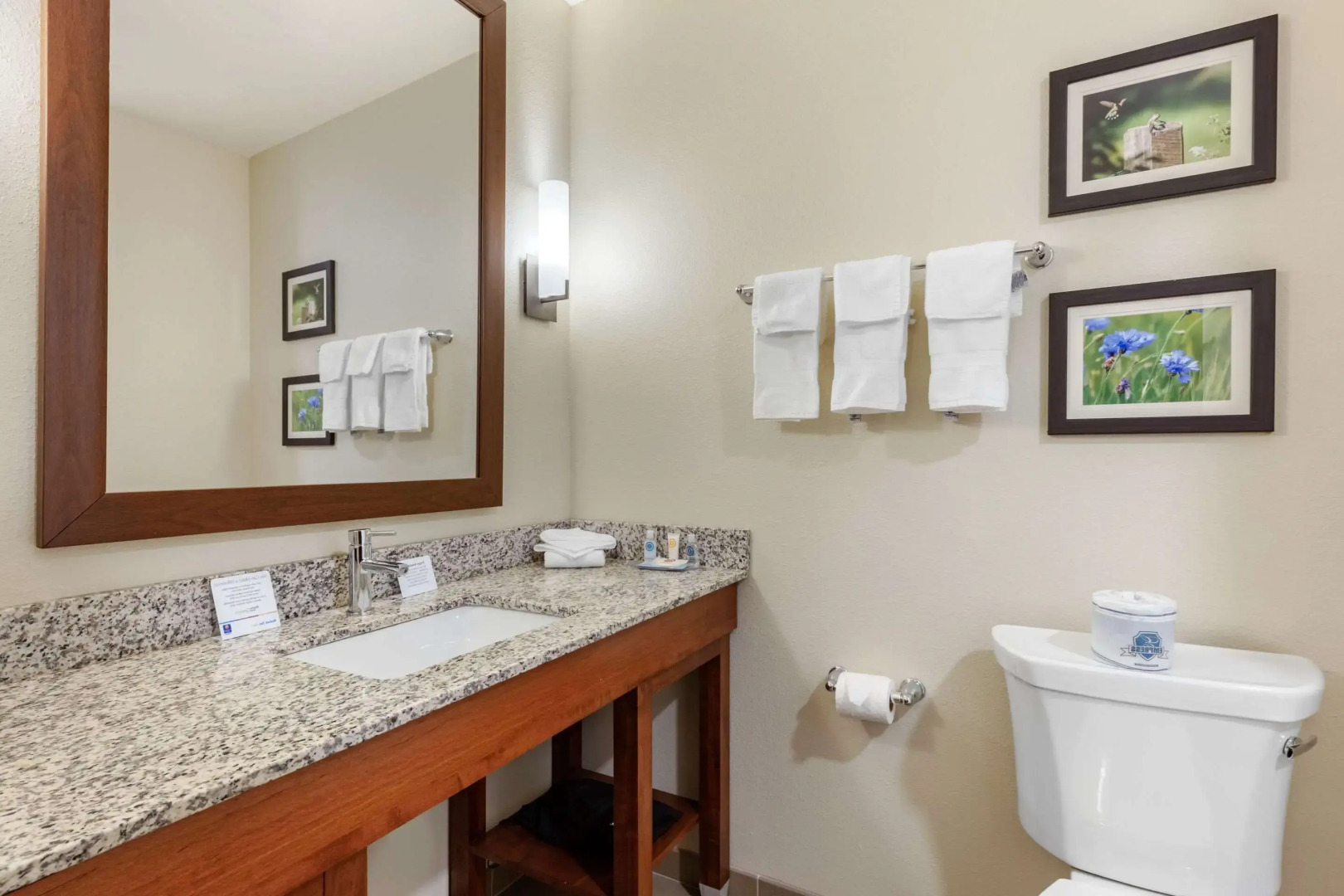 Comfort Inn White House
