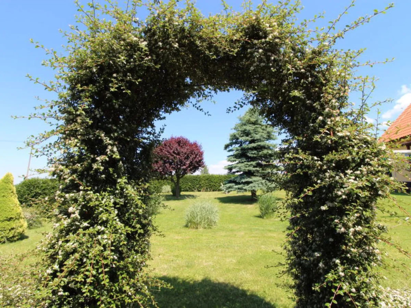 Rokytnice v Orlických horách