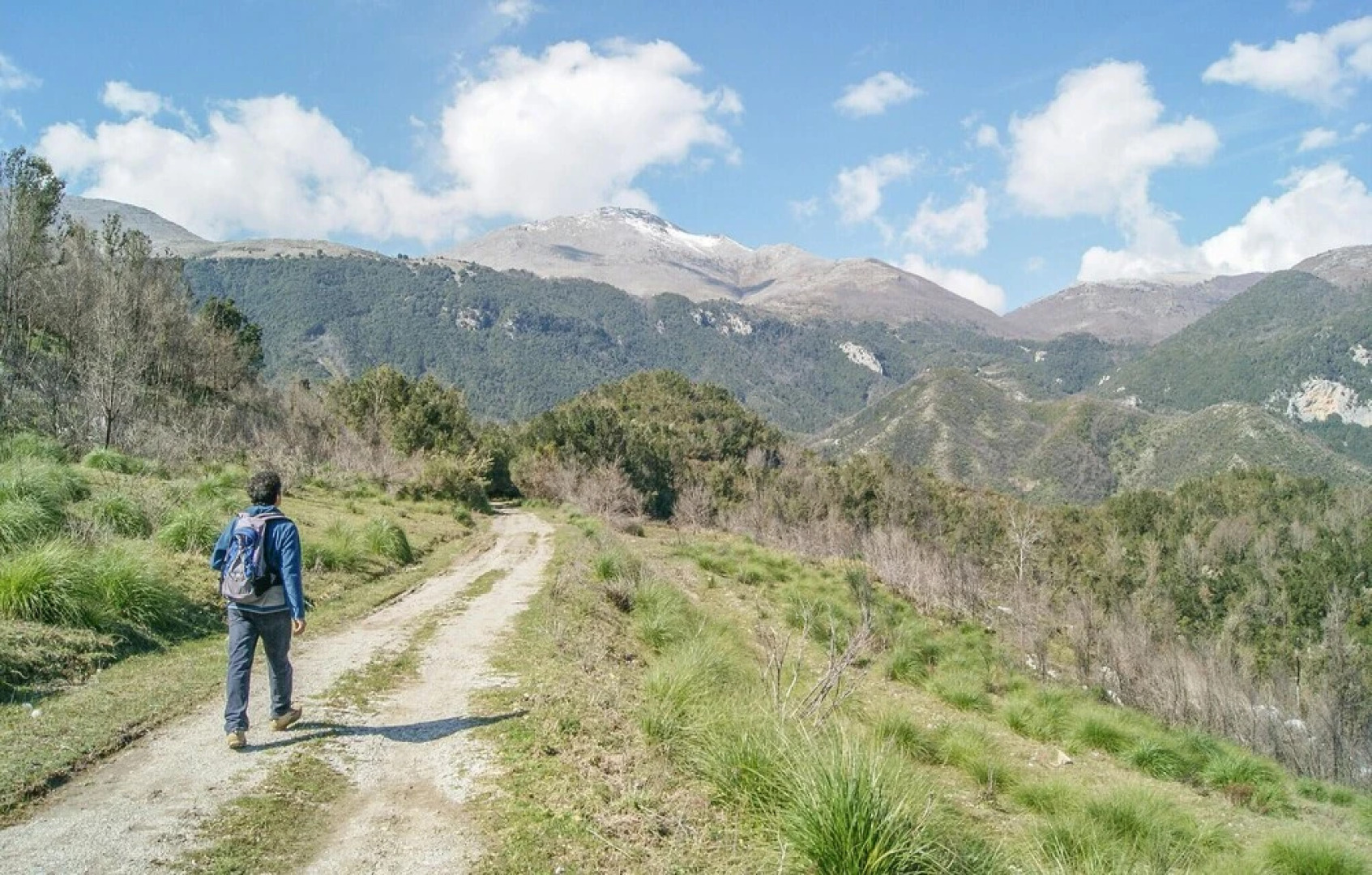 Awesome Apartment in Falerna With 2 Bedrooms