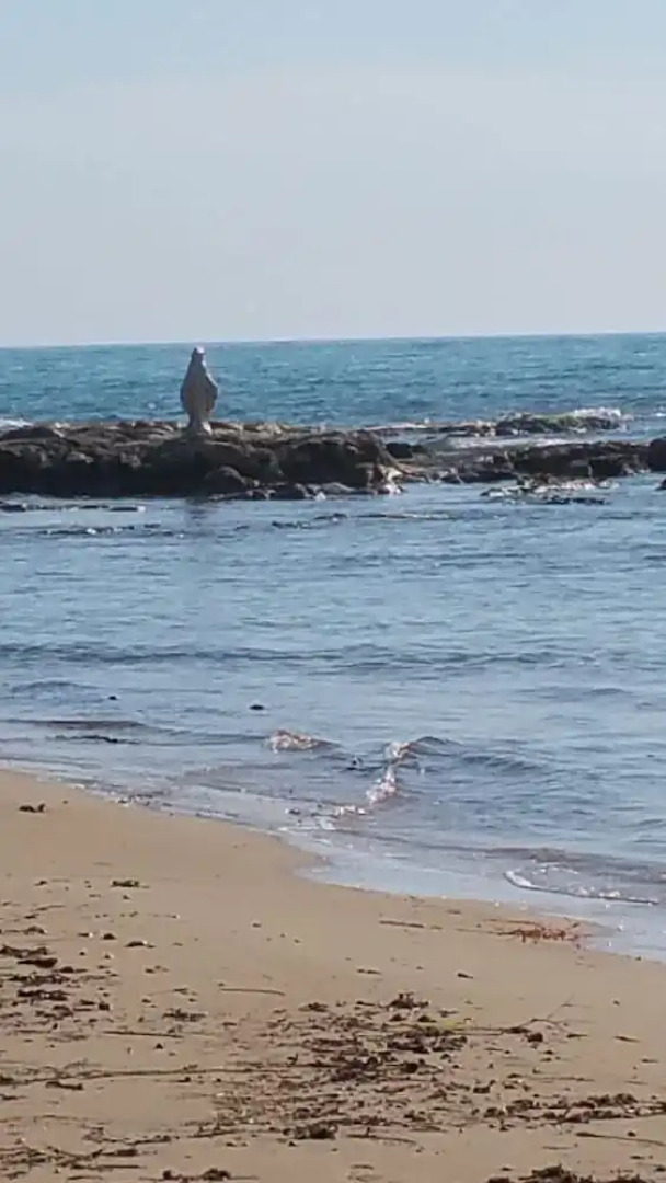 Sole Mare E Relax for Dream Holidays